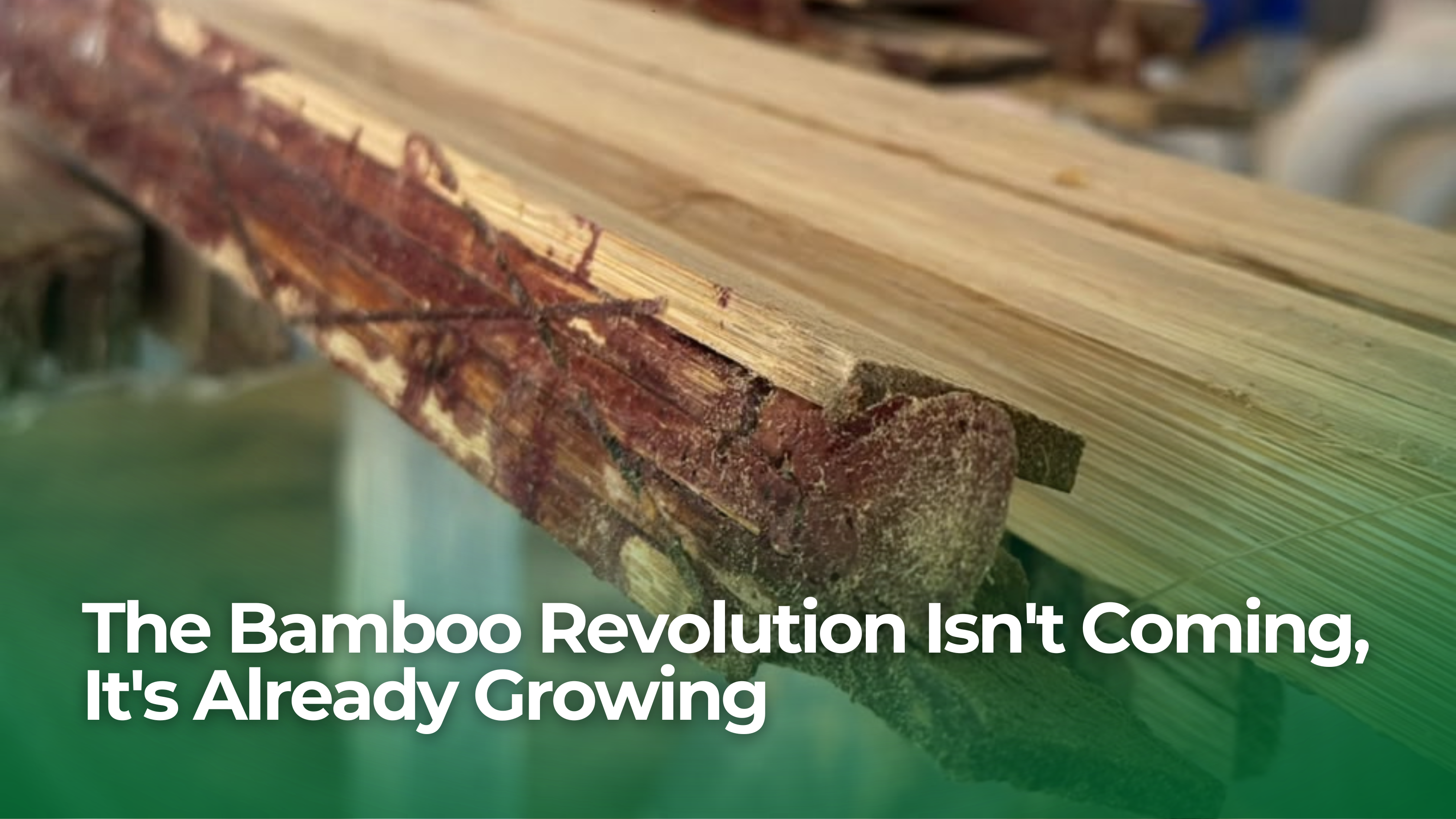 The Bamboo Revolution Isn't Coming, It's Already Growing — engineered bamboo by NuMat Bamboo